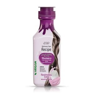 شامبو إيفا ريسيبي